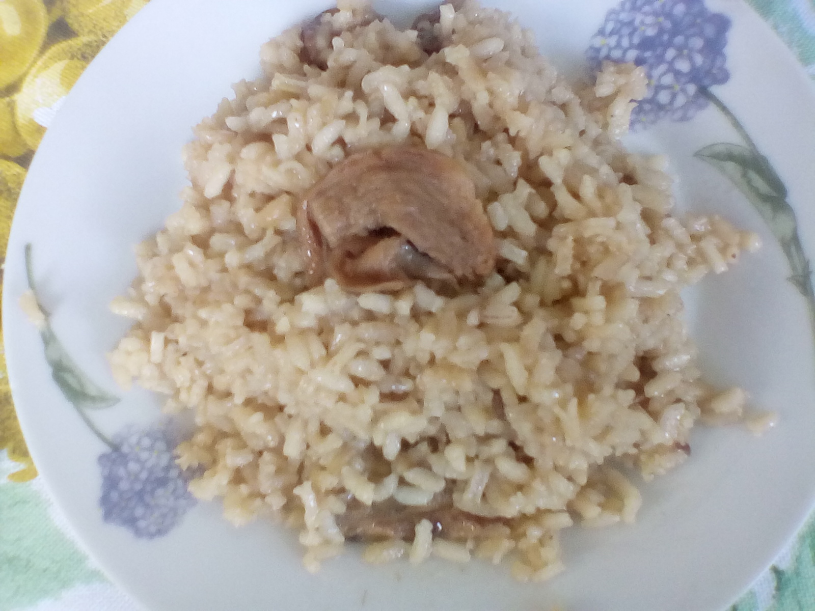 risotto ai funghi